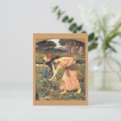 Carte Postale Rassemblez des Roses pendant votre mai - Femmes ra (Debout devant)