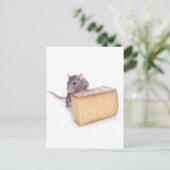 Carte Postale rat au fromage (Debout devant)