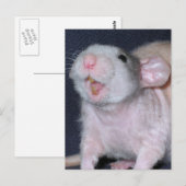 Carte Postale Rat au sourire mignon (Devant / Derrière)
