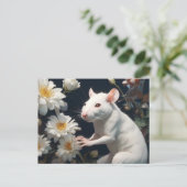 Carte Postale rat blanc (Debout devant)