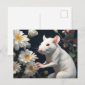 Carte Postale rat blanc (Devant / Derrière)