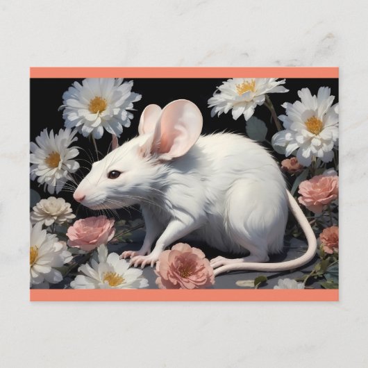 Carte Postale rat blanc mignon (Devant)