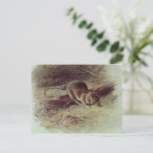 Carte Postale Rat Brown 1918 (Debout devant)