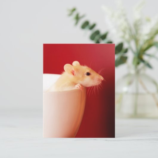 Carte Postale Rat de bébé (Debout devant)