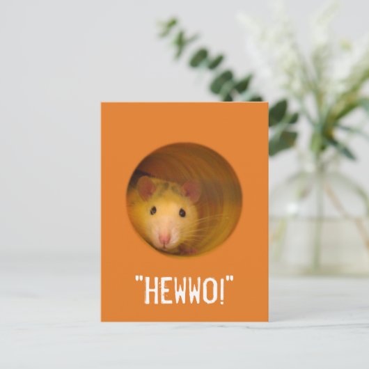 Carte Postale Rat d'illusion optique drôle dans trou (Debout devant)