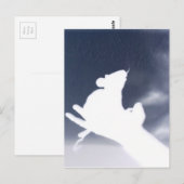 Carte Postale Rat d'ombre (Devant / Derrière)