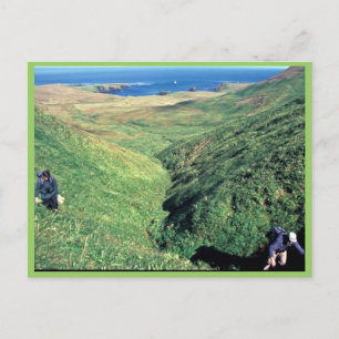 Carte Postale Rat Island, le biologiste américain Jeff Williams 