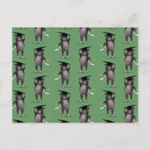 Carte Postale Rat Le Plus Intelligent De La Ville