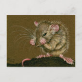 Carte Postale Rat Mad Paks Up (Devant)