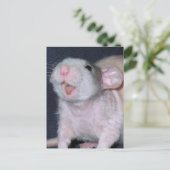 Carte Postale Rat souriant mignon (Debout devant)