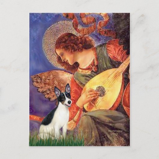 Carte Postale Rat Terrier - Ange au Mandolin (Devant)