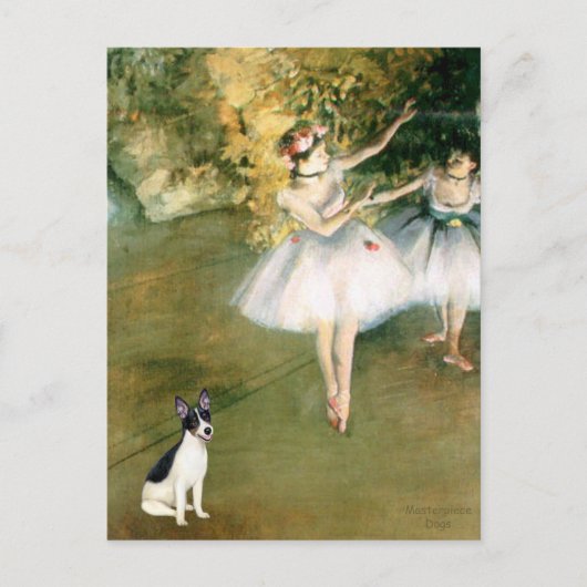 Carte Postale Rat Terrier - Deux Danseuses (Devant)