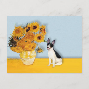 Carte Postale Rat Terrier - Fleurs de soleil