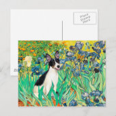Carte Postale Rat Terrier - Iris (Devant / Derrière)