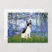 Carte Postale Rat Terrier - Lys 6 (Devant / Derrière)