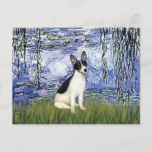 Carte Postale Rat Terrier - Lys 6 (Devant)