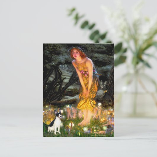 Carte Postale Rat Terrier - MidEve (Debout devant)