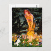 Carte Postale Rat Terrier - MidEve (Devant / Derrière)