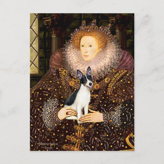 Carte Postale Rat Terrier - Reine (Devant)