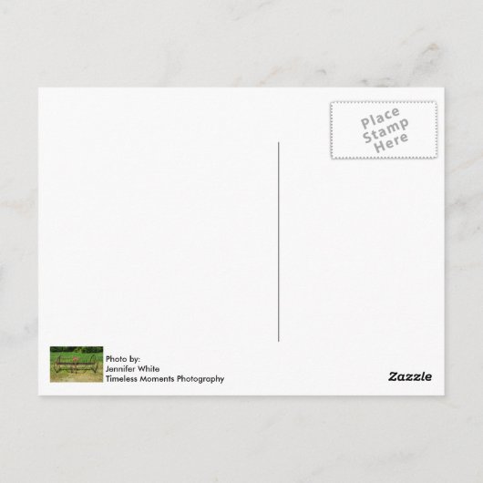 Carte Postale Râteau à foin tiré par un cheval (Dos)