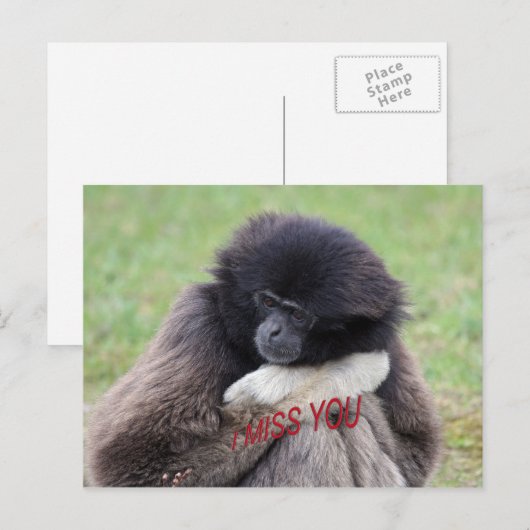 Carte Postale rater (Devant / Derrière)