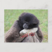 Carte Postale rater (Devant)