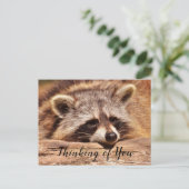 Carte Postale Raton laveur (Debout devant)