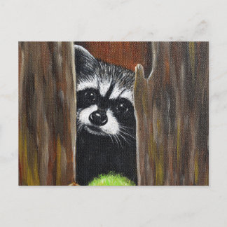 Carte Postale Raton laveur dans un arbre peinture