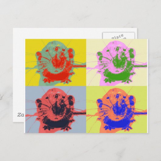 Carte Postale Rats (Devant / Derrière)
