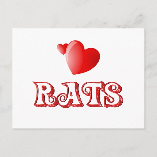 Carte Postale Rats (Devant)
