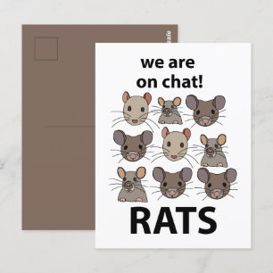 Carte Postale Rats Animal Nous sommes sur le chat Drôles Rats