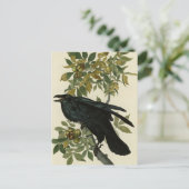 Carte Postale Raven (Debout devant)