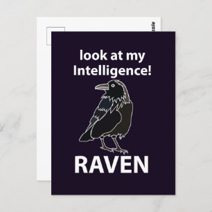 Carte Postale Raven Regarde Mon Corbeau D'Intelligence