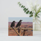 Carte Postale Ravens (Debout devant)