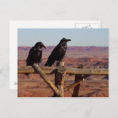 Carte Postale Ravens (Devant / Derrière)