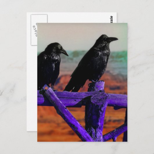 Carte Postale Ravens (Devant / Derrière)