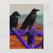 Carte Postale Ravens (Devant)