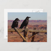 Carte Postale Ravens du désert (Devant / Derrière)