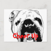 Carte Postale Ravi (Devant)