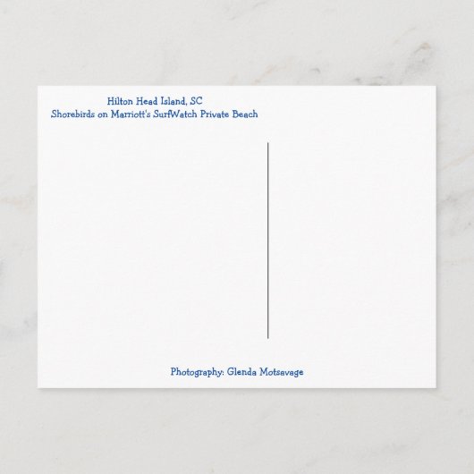 Carte Postale Raviers Dans Le Surf ! Hilton Head Island SC (Dos)