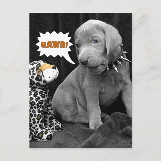 Carte postale Rawr (Devant)