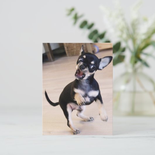 Carte Postale Rawr (Debout devant)