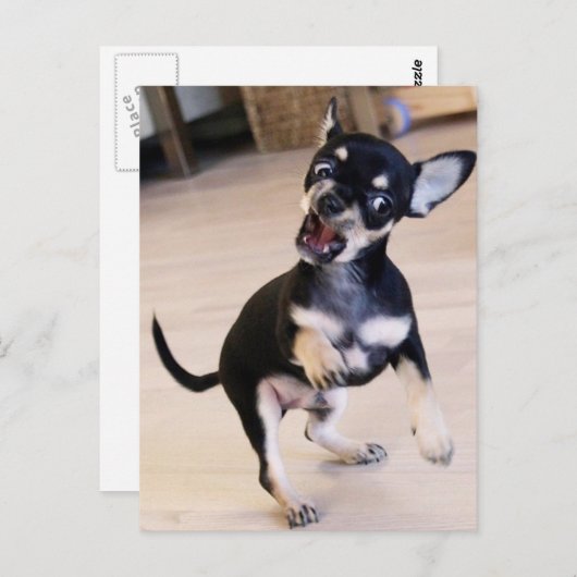 Carte Postale Rawr (Devant / Derrière)