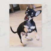 Carte Postale Rawr (Devant)