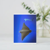 Carte Postale Rayon d'aigle tacheté et requin de récif sous-mari (Debout devant)