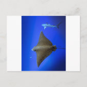 Carte Postale Rayon d'aigle tacheté et requin de récif sous-mari (Devant)