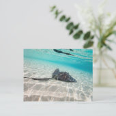 Carte Postale Rayon de fixation (Debout devant)