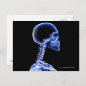 Carte Postale Rayon X des os dans le cou (Devant / Derrière)