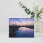 Carte Postale Rayons de soleil de Floride (Debout devant)