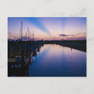 Carte Postale Rayons de soleil de Floride